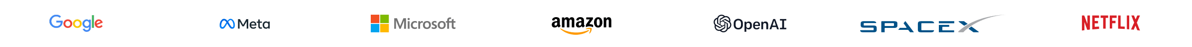 Trusted by professionals from Google, Meta, Microsoft, Amazon, OpenAI, SpaceX, Netflix